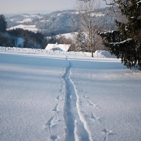 Casa de hóspedes Horská Na špici 3*